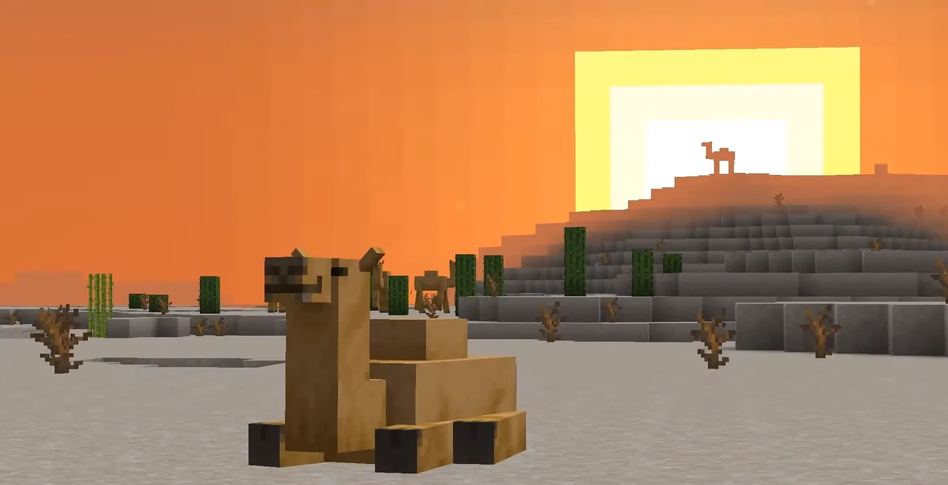 Kamelen in minecraft