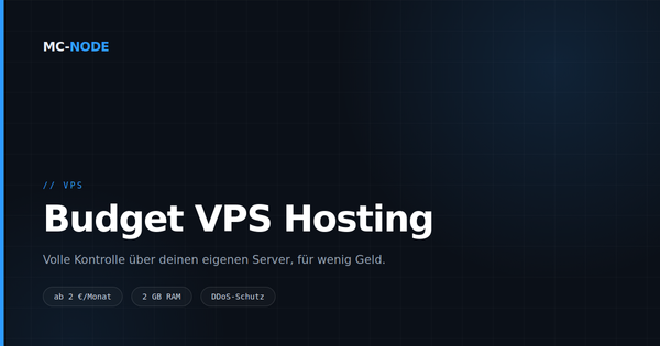 Was ist ein VPS und wann brauchst du einen?
