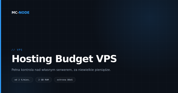 Czym jest VPS i kiedy go potrzebujesz?