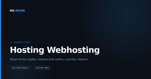 Hosting WWW czy VPS: co pasuje do Twojej strony?